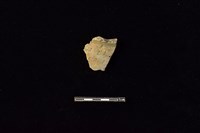 陶罐藏品圖，第1張